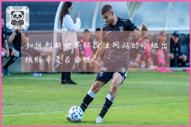 如何判断世界杯投注网站的小组出线赔率是否合理？