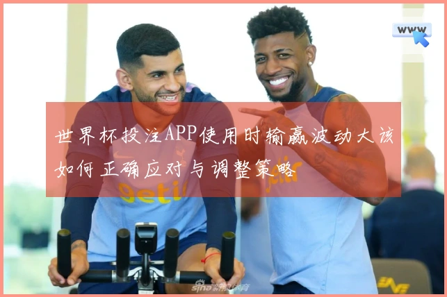 世界杯投注APP使用时输赢波动大该如何正确应对与调整策略