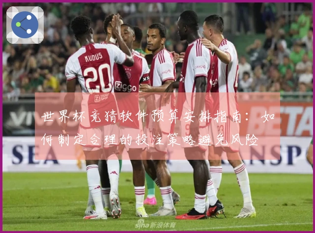 世界杯竞猜软件预算安排指南:如何制定合理的投注策略避免风险