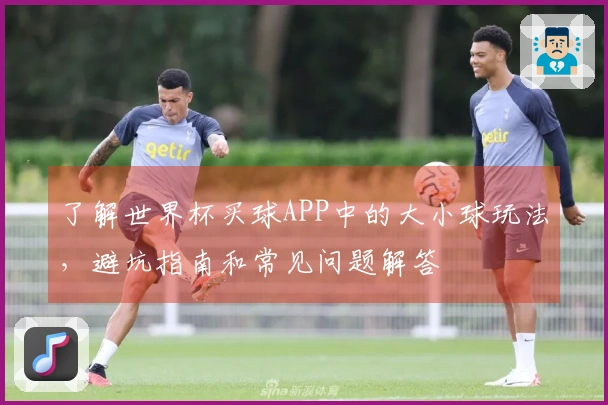 了解世界杯买球APP中的大小球玩法，避坑指南和常见问题解答